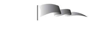 Insights lite logo