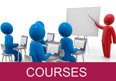 Insights Courses